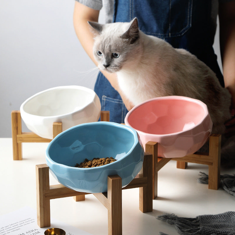 Ergonomic Oblique Pet Feeding Bowl