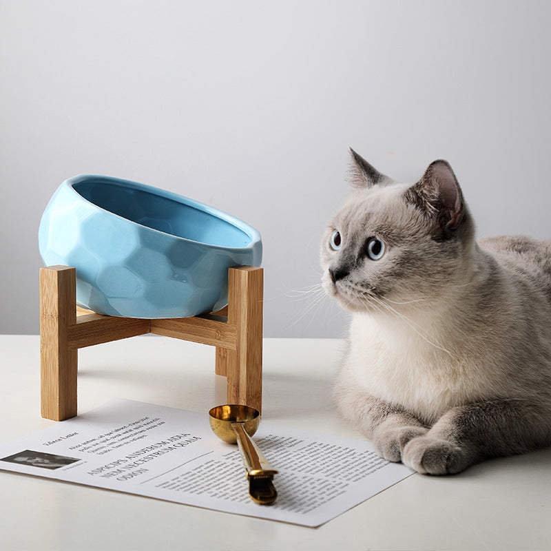 Ergonomic Oblique Pet Feeding Bowl