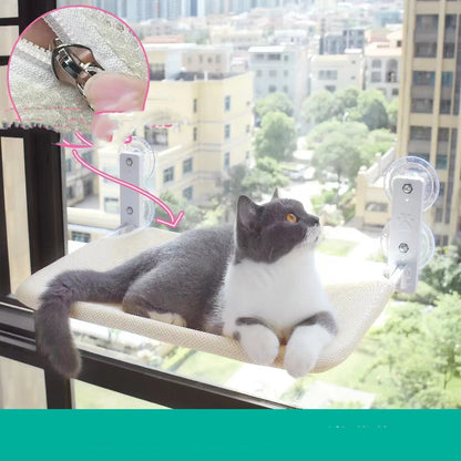 Cat Window Glass Hanging Hammock